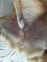 Ludivine review photo