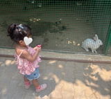 Rishika review photo