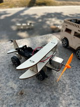 rali review photo