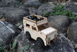 rali review photo