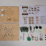 Emily Williams review photo