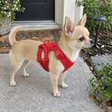 Chloe B. review photo