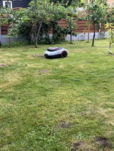 Stephen Oakes review photo