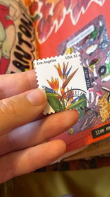 Vervain review photo