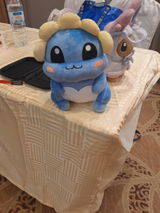 Lexi review photo