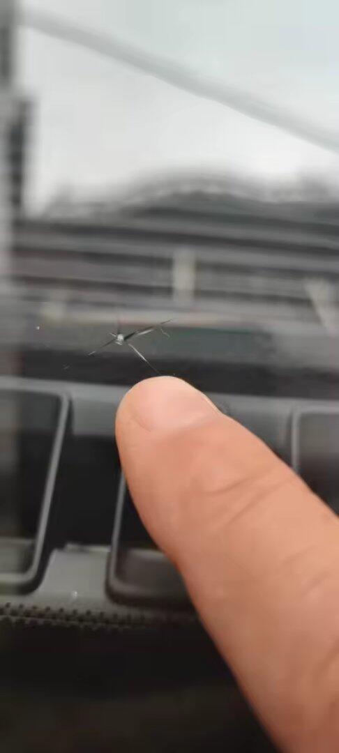 Customer review photo - repaired glass