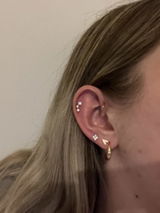 Lisa S. review photo