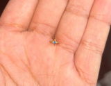 Zahra F. review photo