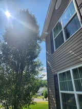 Amazon Customer review photo