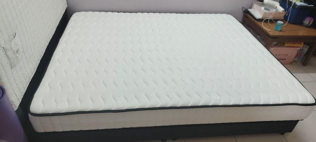 quennekim review photo