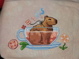 Etsy customer review photo