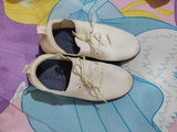 D.N. review photo