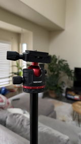 Lee P. review photo