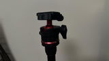SIDNF review photo