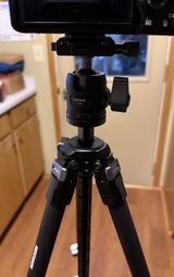 Obi (. review photo