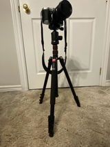 Chris M. review photo