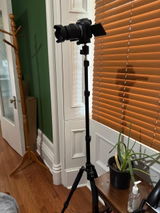 Felipe P. review photo