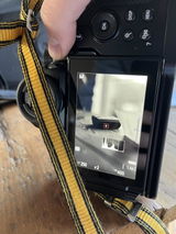 BDW review photo