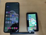 nelson review photo