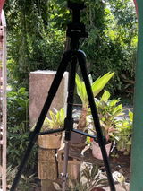 Kelly Kadi review photo