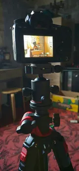 Ausma Budreiko review photo