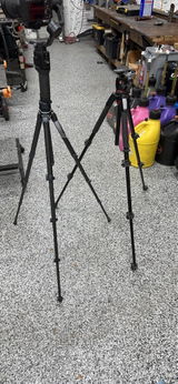 Tayloray review photo