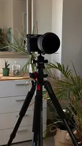 Toro G. review photo