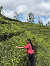 riya review photo