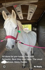The Gurl with the Greys! review photo