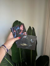 Corie review photo