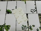 Erin S. review photo
