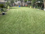 V Maier review photo