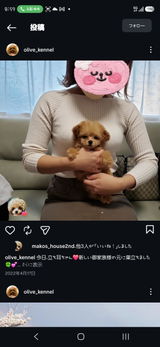 匿名 review photo