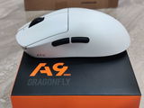 Prasad Jadhav review photo