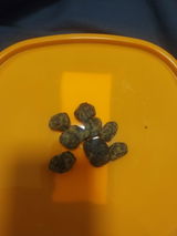M. review photo