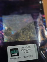 B.P. review photo