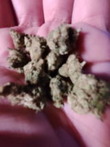 Anonyme review photo
