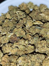 S.D. review photo