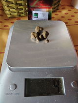 N.B. review photo
