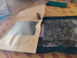 N.B. review photo