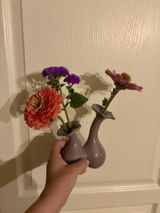 Sigried Janzen review photo