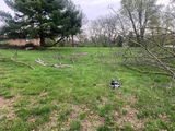 Lz review photo