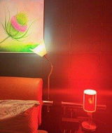 Jovanka Mertens review photo