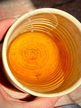 Songbird Kombucha review photo