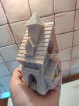 Alexandru Pircan review photo