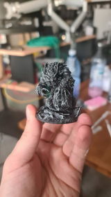 Bogdan Untilă review photo