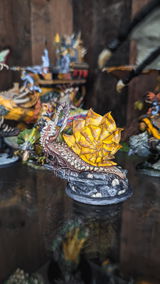 D.B. review photo
