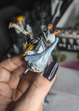 D.B. review photo