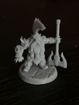 Ovidiu Diumea review photo