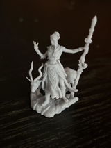 Ovidiu Diumea review photo